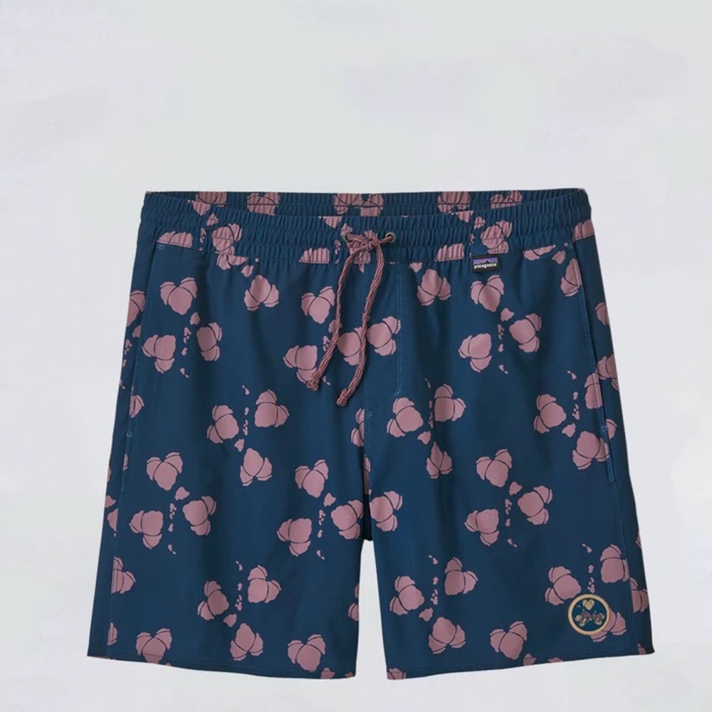 Patagonia Medium Men's Hydropeak Volley Shorts
